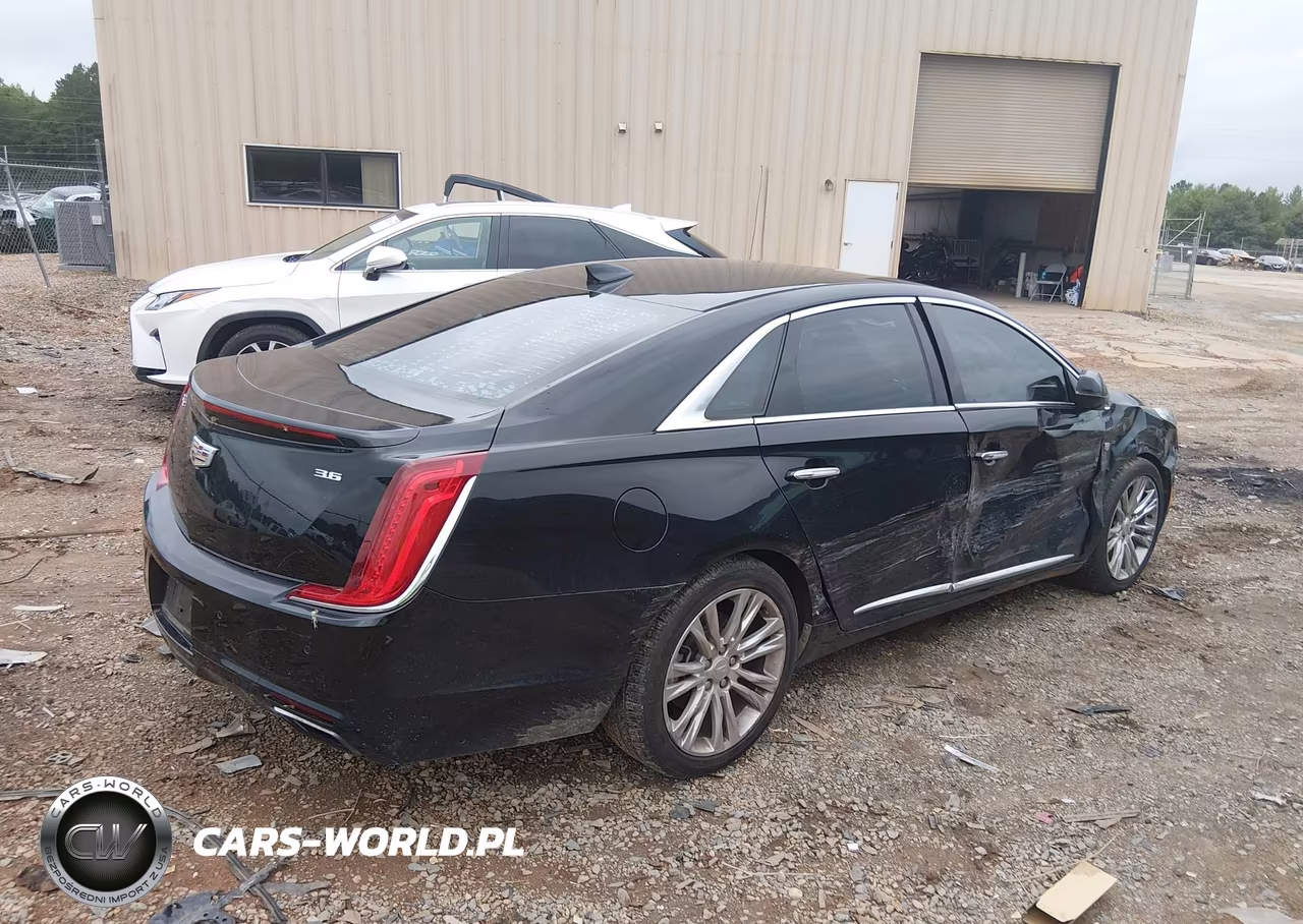 2019 Cadillac Xts Luxury VIN:2G61M5S39K9139360 - 4