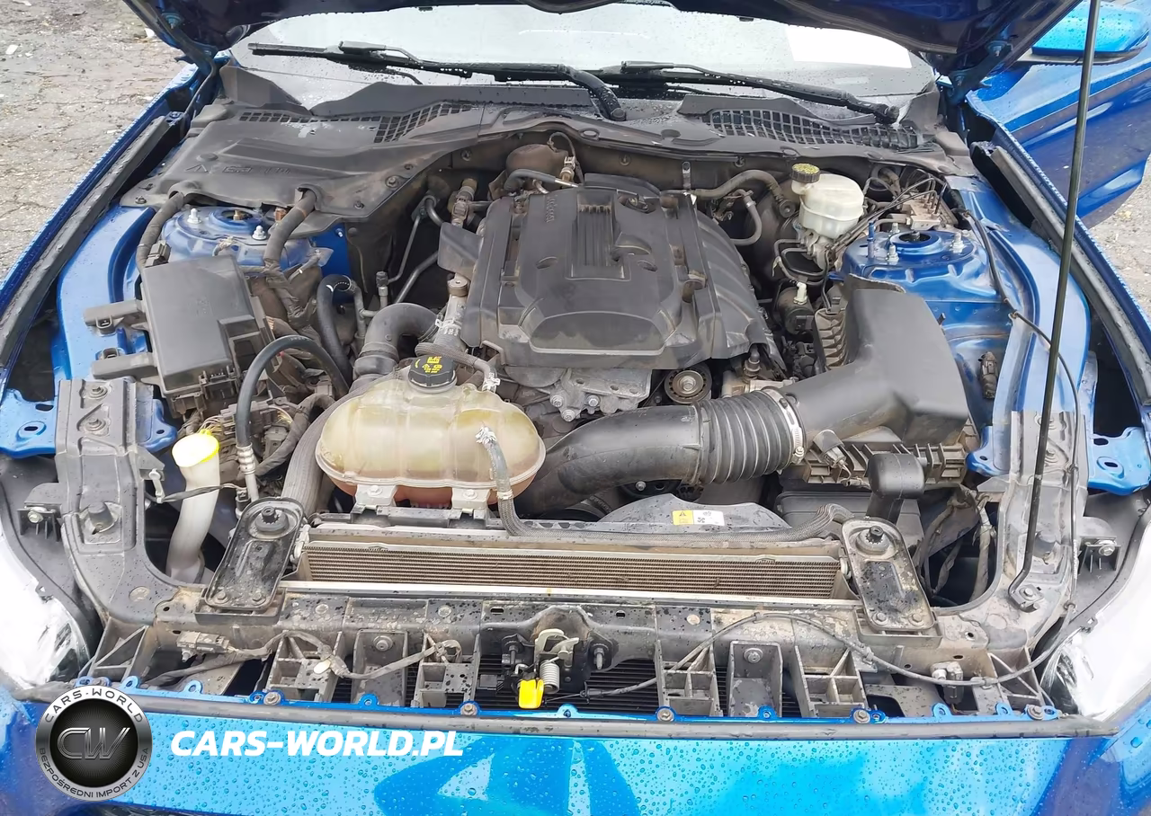 2017 Ford Mustang Ecoboost VIN:1FA6P8TH0H5293036 - 10