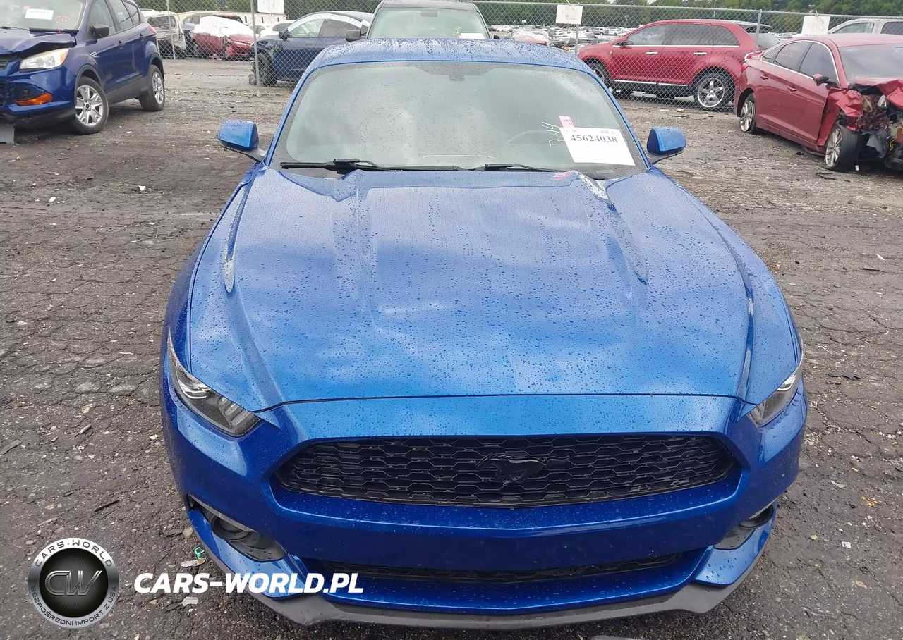 2017 Ford Mustang Ecoboost VIN:1FA6P8TH0H5293036 - 12