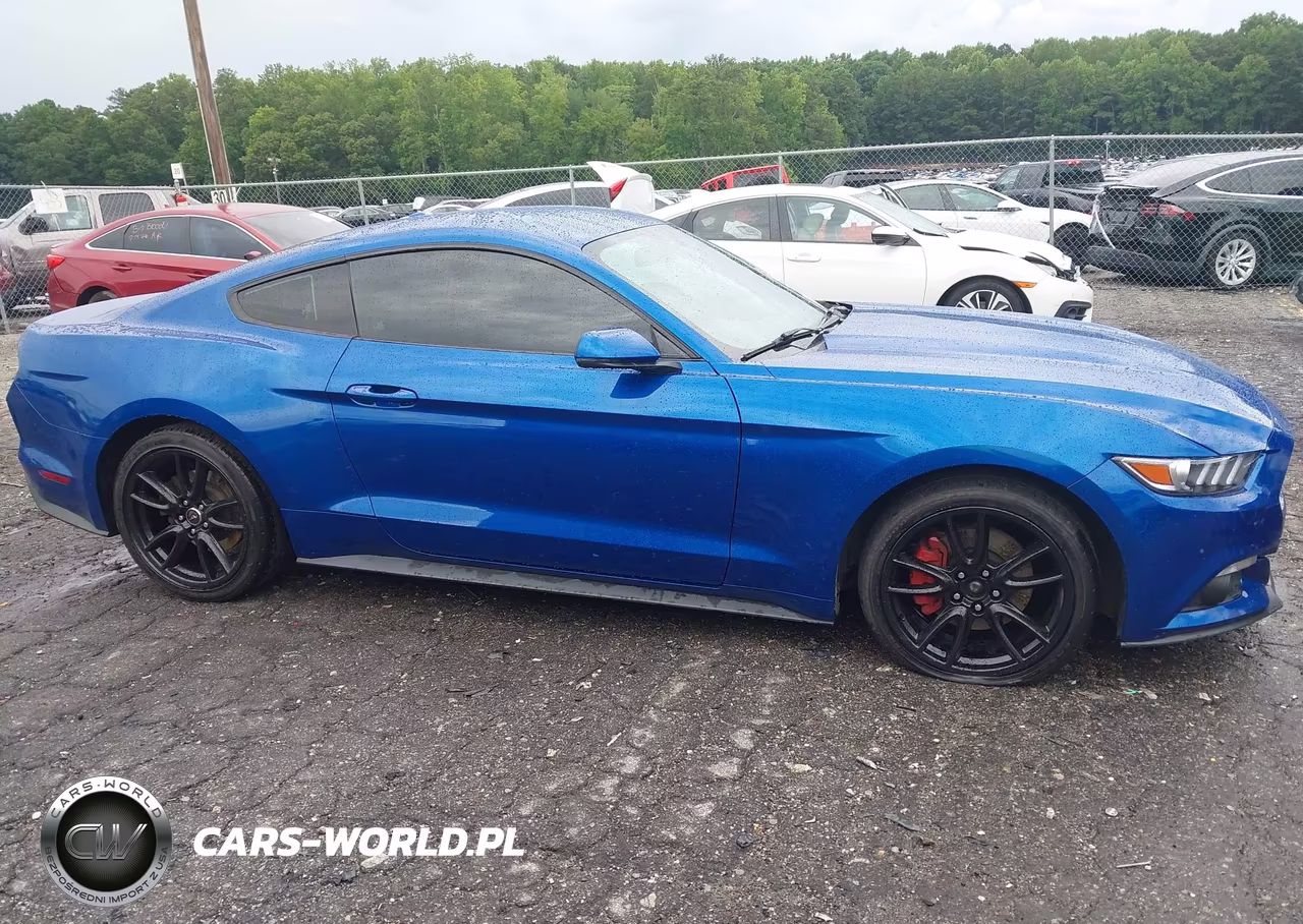 2017 Ford Mustang Ecoboost VIN:1FA6P8TH0H5293036 - 13