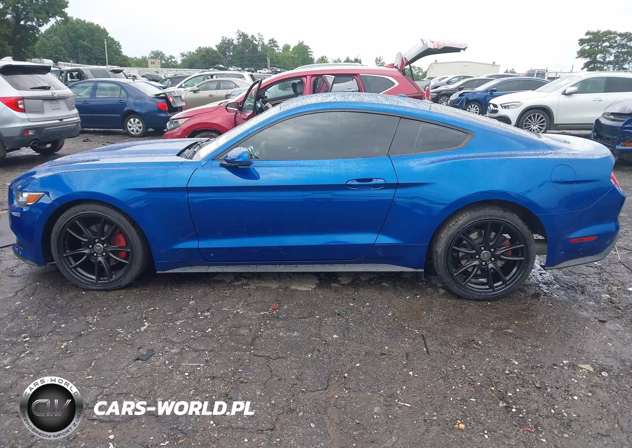 2017 Ford Mustang Ecoboost VIN:1FA6P8TH0H5293036 - 14