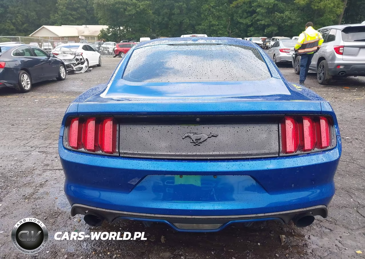 2017 Ford Mustang Ecoboost VIN:1FA6P8TH0H5293036 - 16