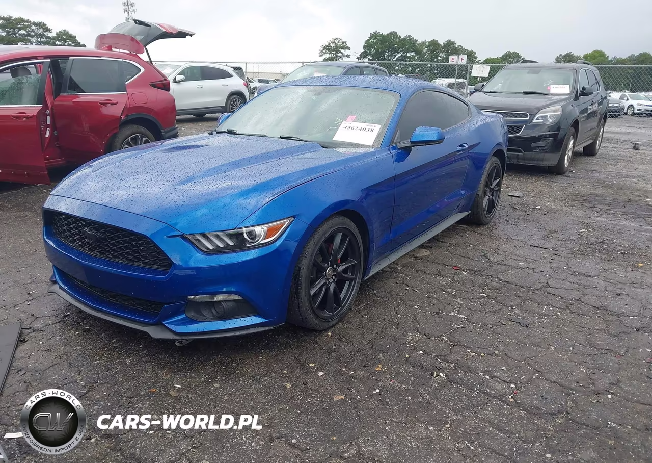 2017 Ford Mustang Ecoboost VIN:1FA6P8TH0H5293036 - 2