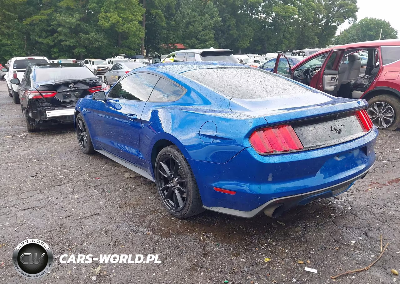2017 Ford Mustang Ecoboost VIN:1FA6P8TH0H5293036 - 3