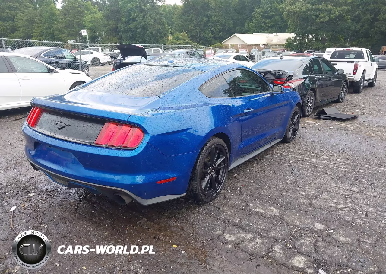 2017 Ford Mustang Ecoboost VIN:1FA6P8TH0H5293036 - 4