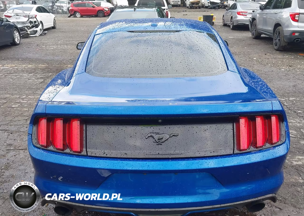 2017 Ford Mustang Ecoboost VIN:1FA6P8TH0H5293036 - 6