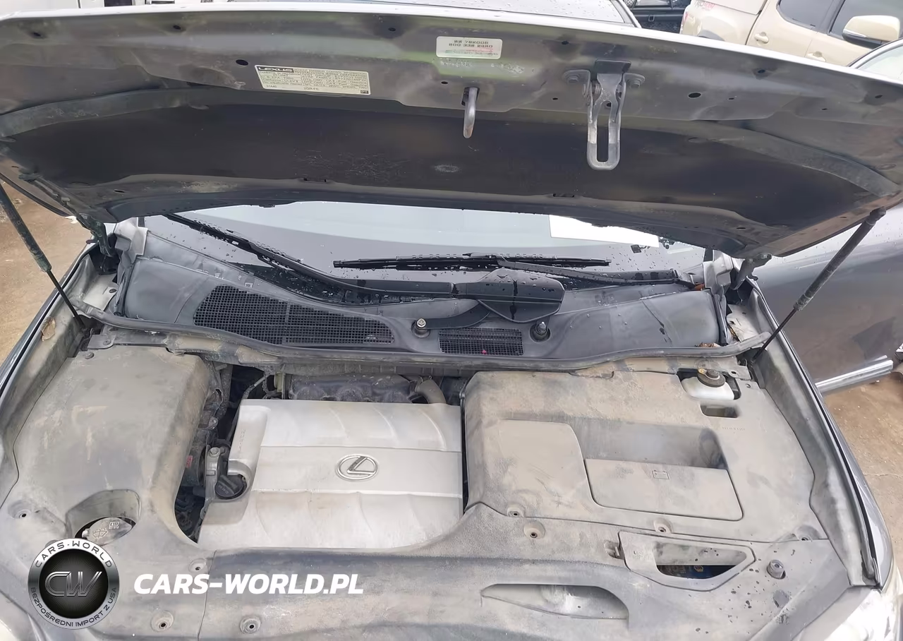 2014 Lexus Rx 350 VIN:JTJZK1BA6E2010585 - 10