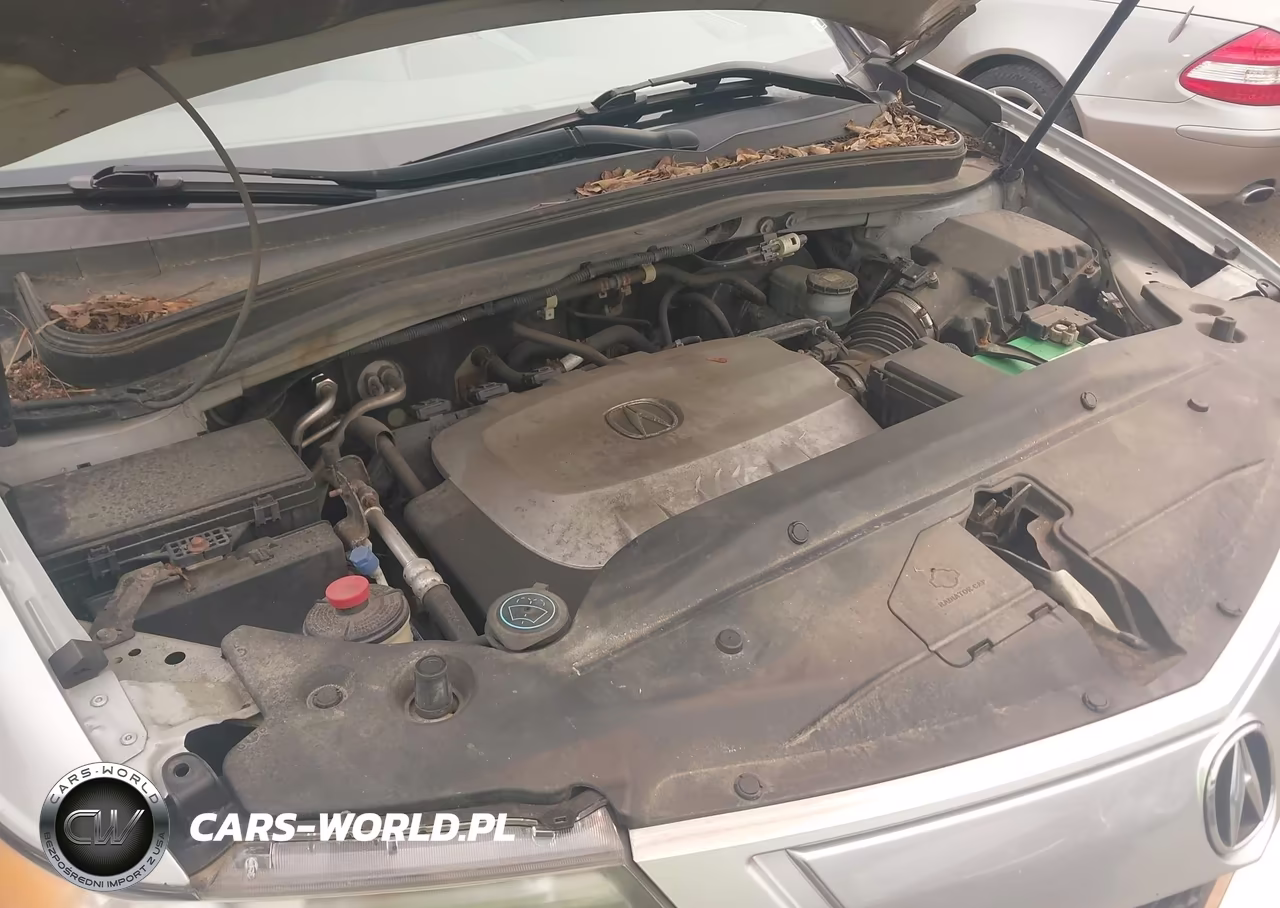 2010 Acura Mdx Technology Package VIN:2HNYD2H42AH511193 - 10