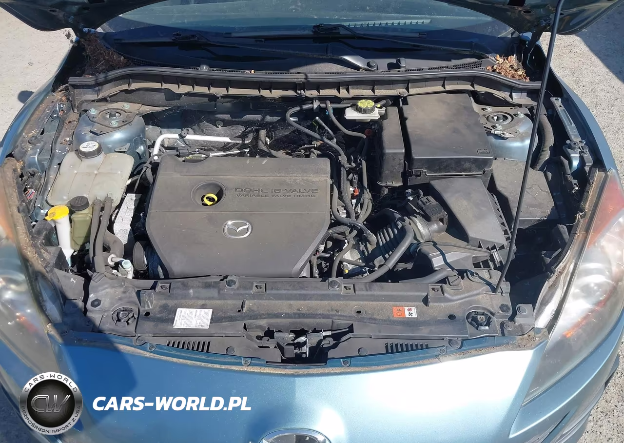 2010 Mazda Mazda3 I Sport VIN:JM1BL1SG1A1165888 - 10