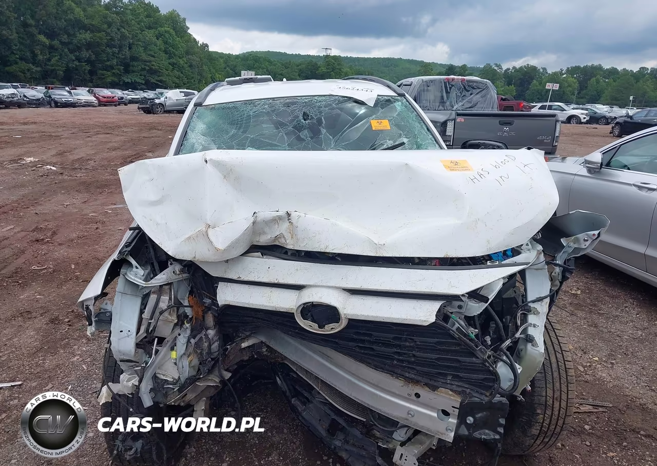 2019 Toyota Rav4 Le VIN:2T3H1RFV3KW046301 - 6