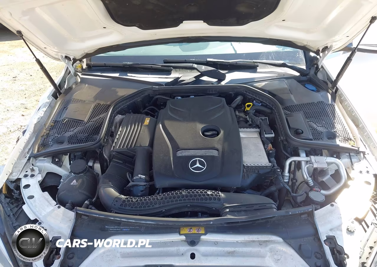 2017 Mercedes-Benz C 300 4Matic VIN:55SWF4KB7HU224747 - 10