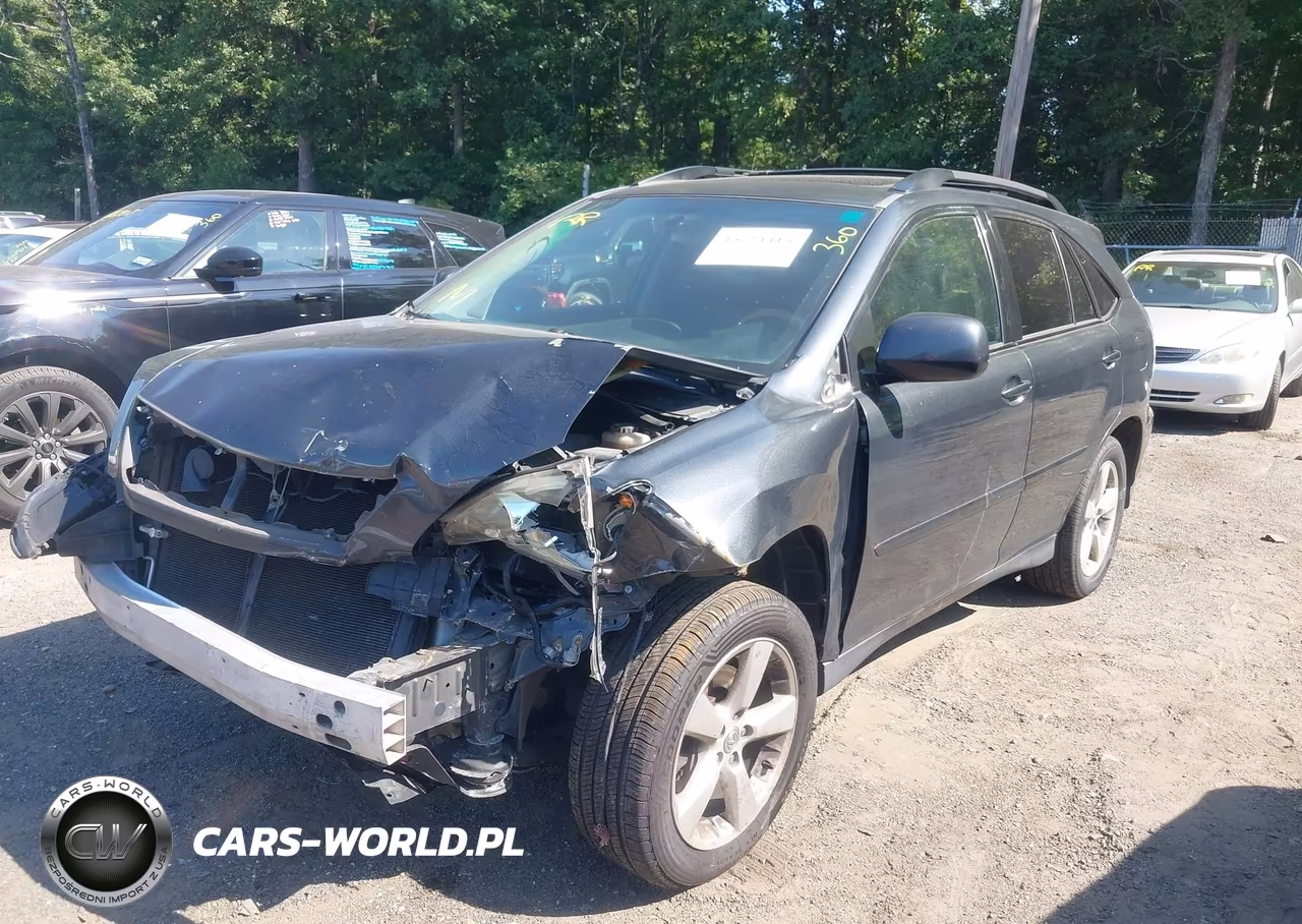 2004 Lexus Rx 330 VIN:JTJGA31U740020036 - 2