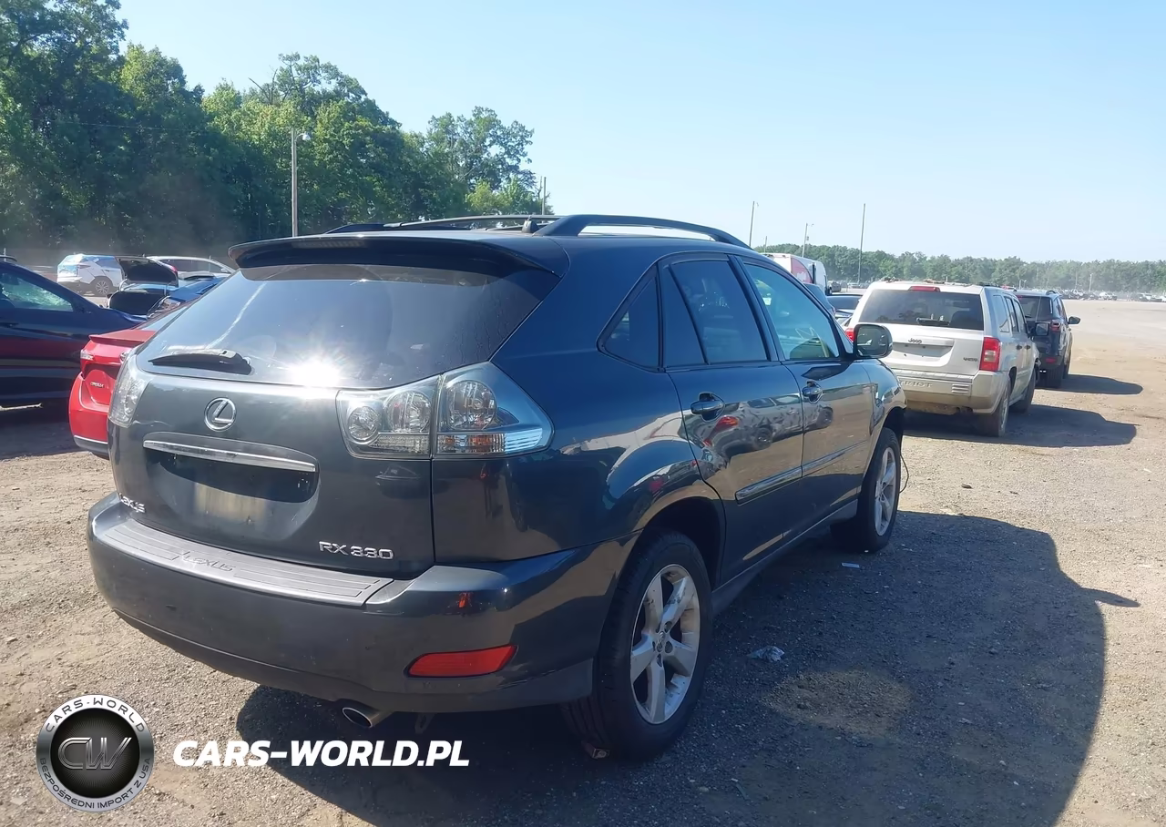 2004 Lexus Rx 330 VIN:JTJGA31U740020036 - 4