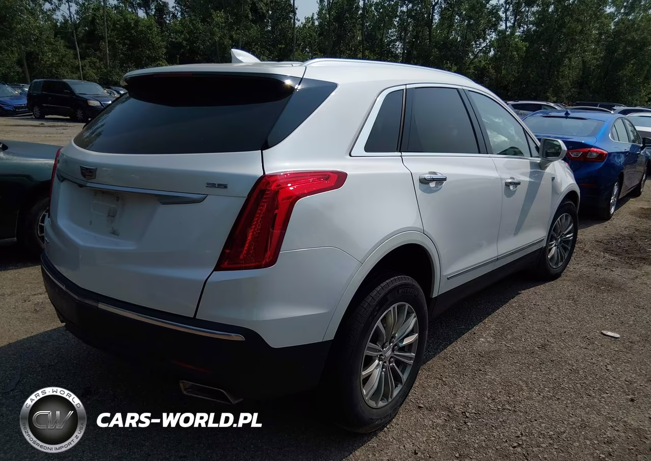 2019 Cadillac Xt5 Luxury VIN:1GYKNDRS1KZ166607 - 4