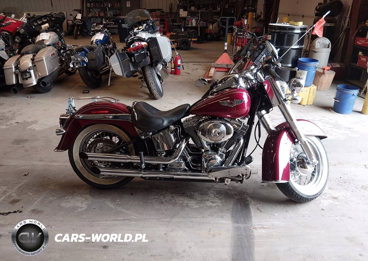 2005 Harley-Davidson Flstni VIN:1HD1JDB175Y093265 - 13