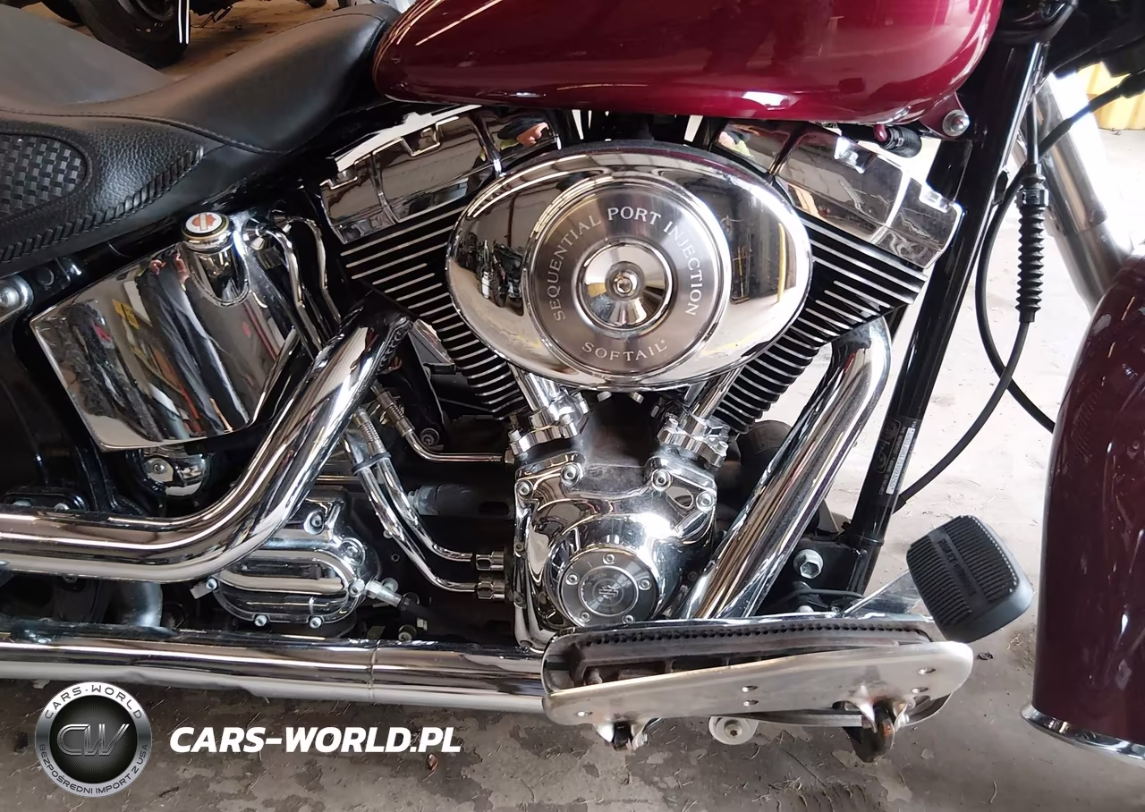 2005 Harley-Davidson Flstni VIN:1HD1JDB175Y093265 - 8