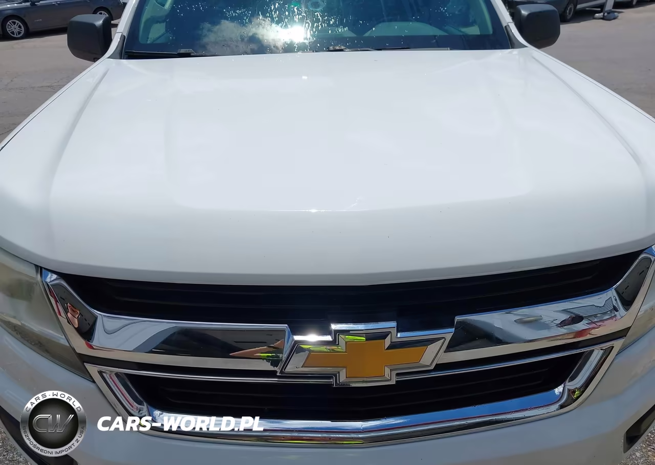 2016 Chevrolet Colorado 4Wd Wt VIN:1GCHTBEA5G1279750 - 14