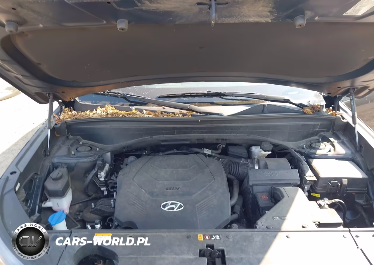 2022 Hyundai Palisade Limited VIN:KM8R5DHEXNU374238 - 10