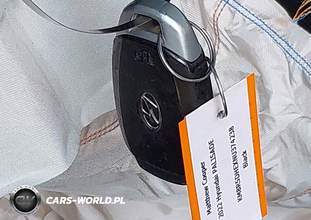 2022 Hyundai Palisade Limited VIN:KM8R5DHEXNU374238 - 11
