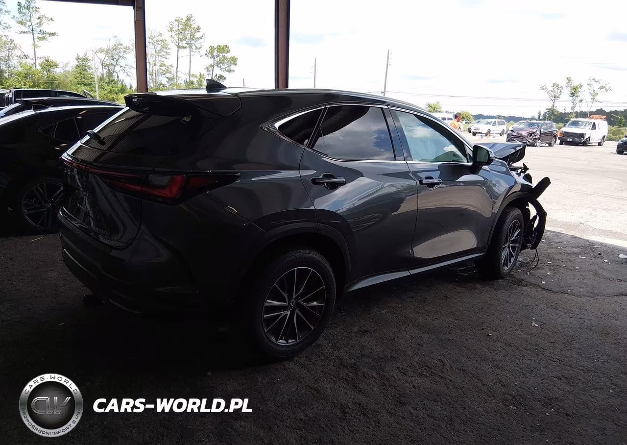 2024 Lexus Nx 350H Luxury VIN:2T2HKCEZ3RC031389 - 12