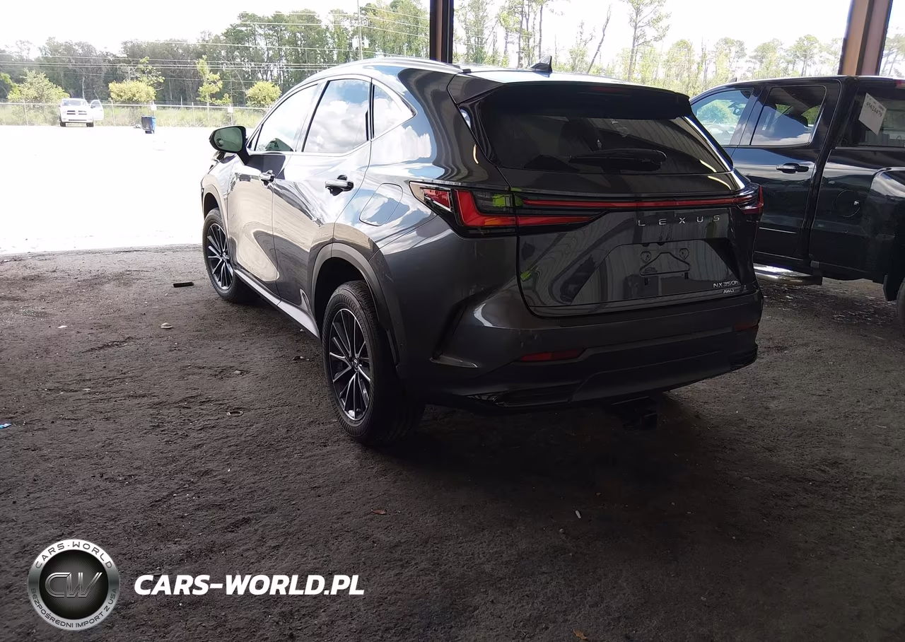 2024 Lexus Nx 350H Luxury VIN:2T2HKCEZ3RC031389 - 3