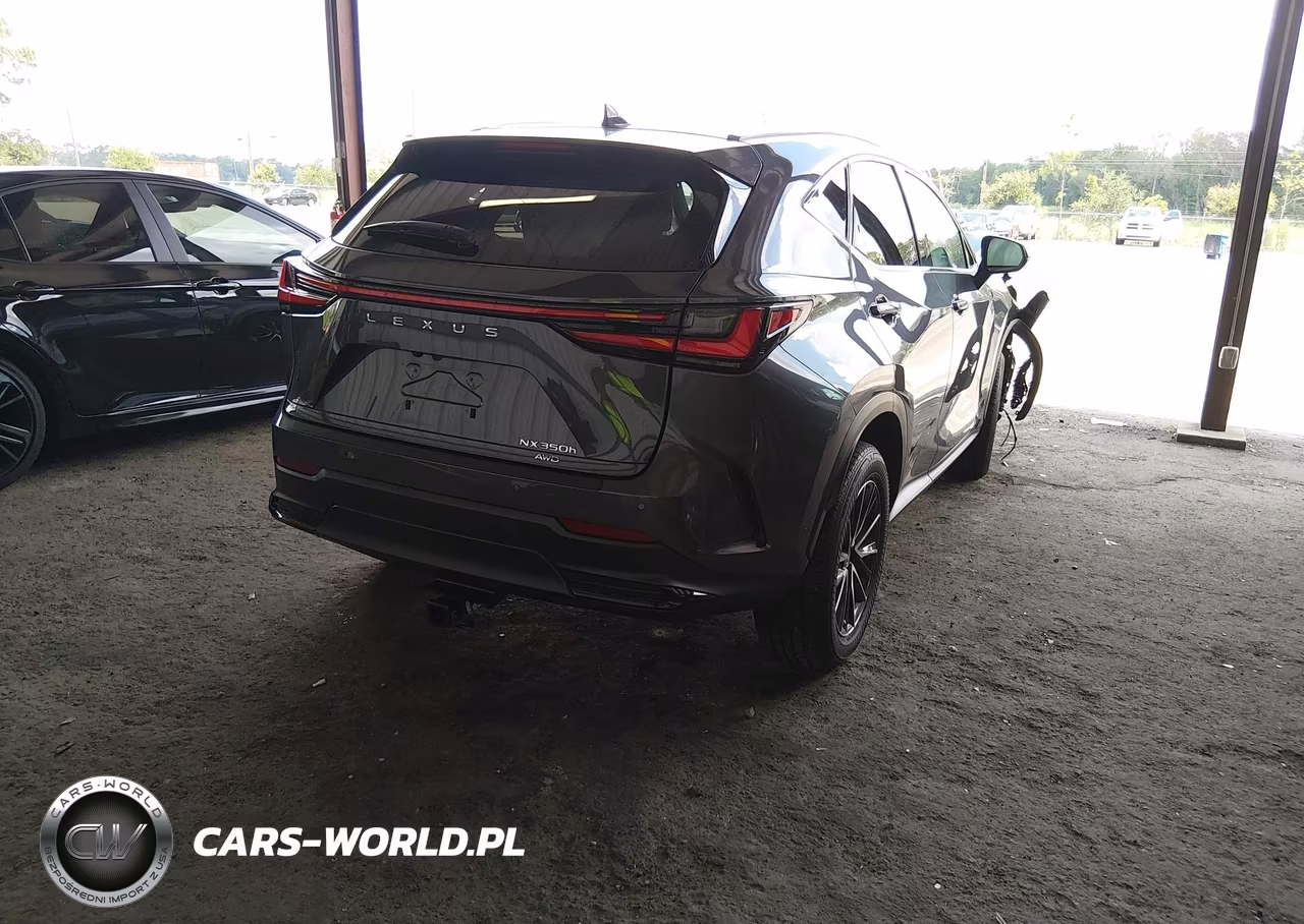 2024 Lexus Nx 350H Luxury VIN:2T2HKCEZ3RC031389 - 4