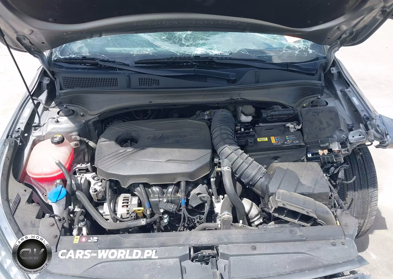 2023 Kia Forte Gt VIN:3KPF44AC3PE642003 - 10