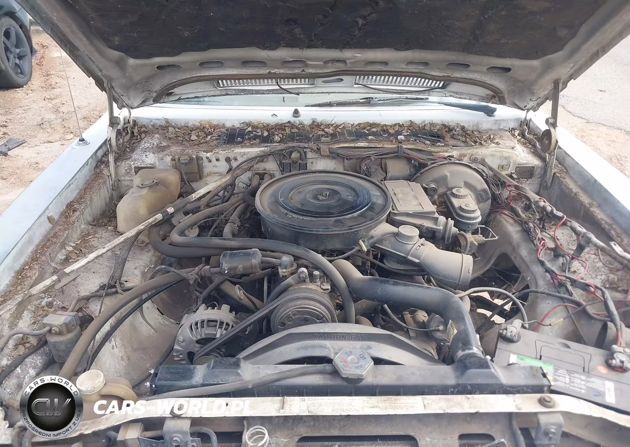 1985 Dodge Diplomat Salon VIN:1B3BG26P6FX564404 - 10