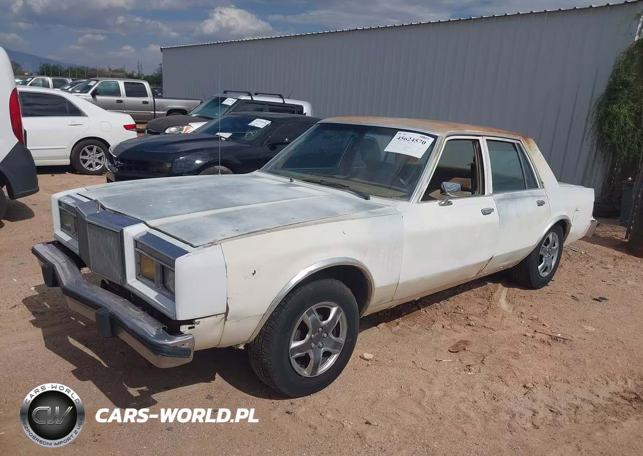 1985 Dodge Diplomat Salon VIN:1B3BG26P6FX564404 - 2