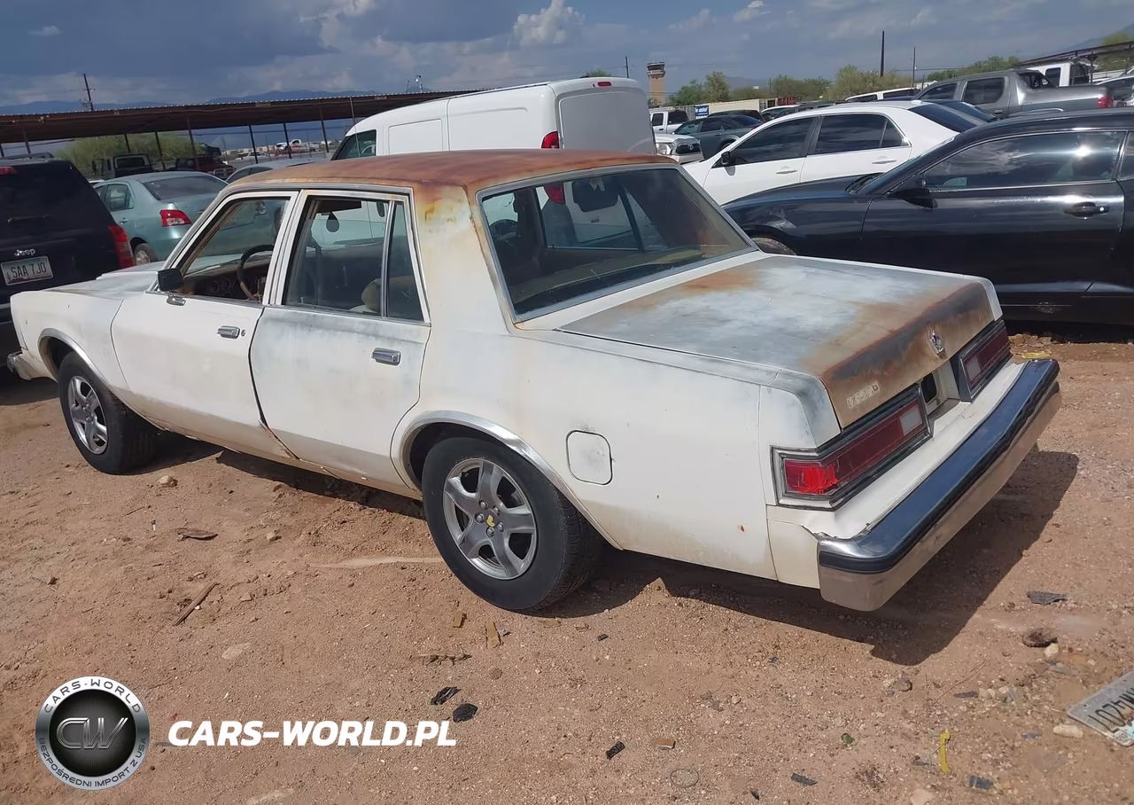 1985 Dodge Diplomat Salon VIN:1B3BG26P6FX564404 - 3