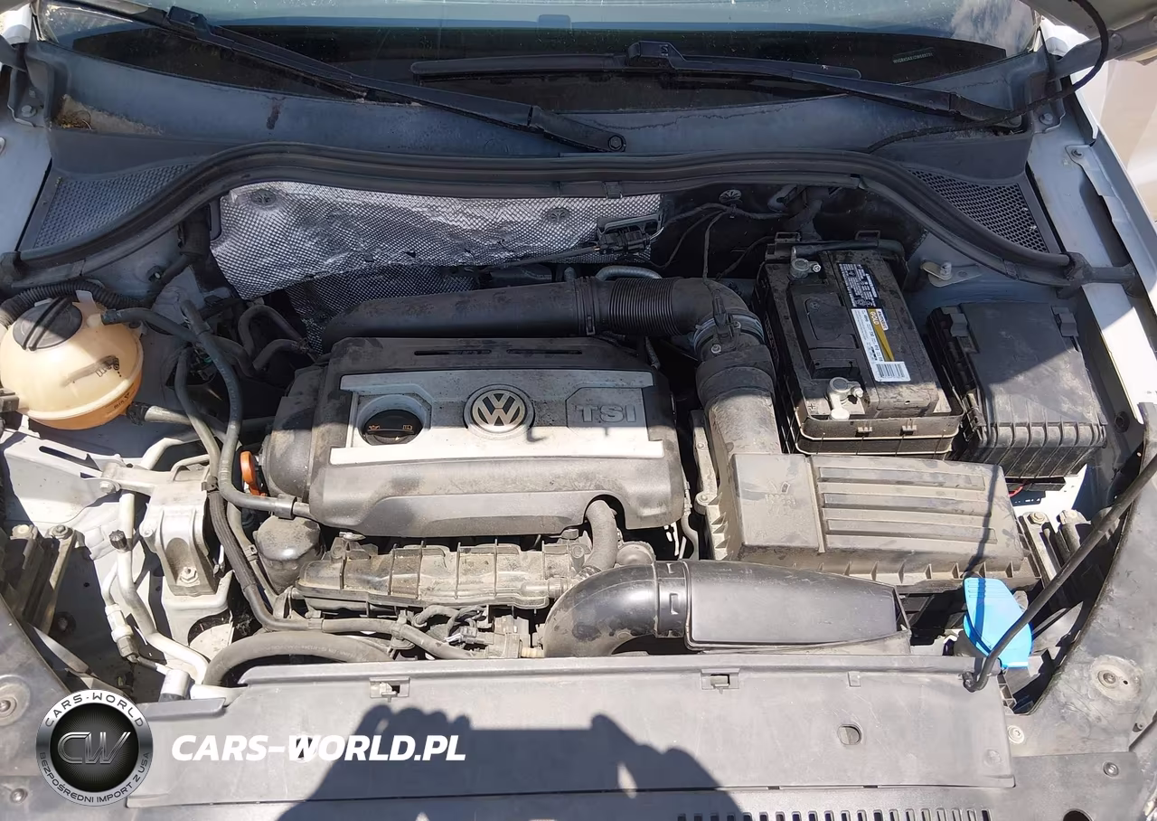 2013 Volkswagen Tiguan S VIN:WVGBV3AX1DW569736 - 10