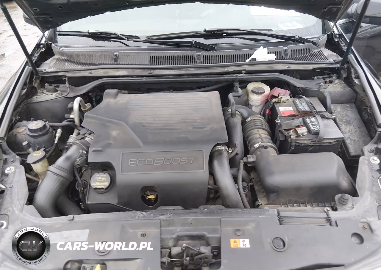 2010 Lincoln Mks Ecoboost VIN:1LNHL9FT9AG613528 - 10