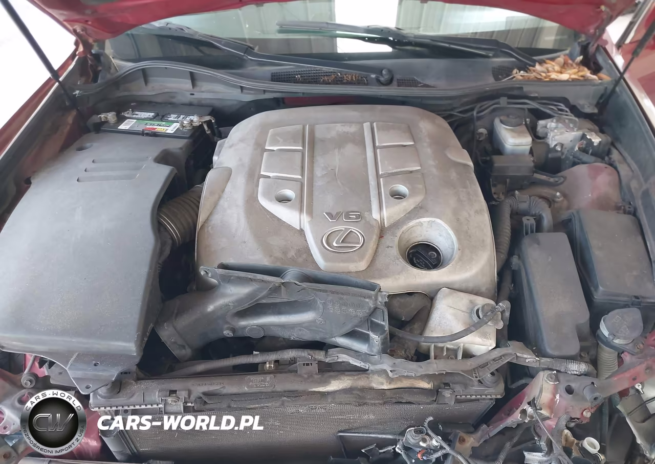2006 Lexus Gs 300 VIN:JTHBH96S665043864 - 10