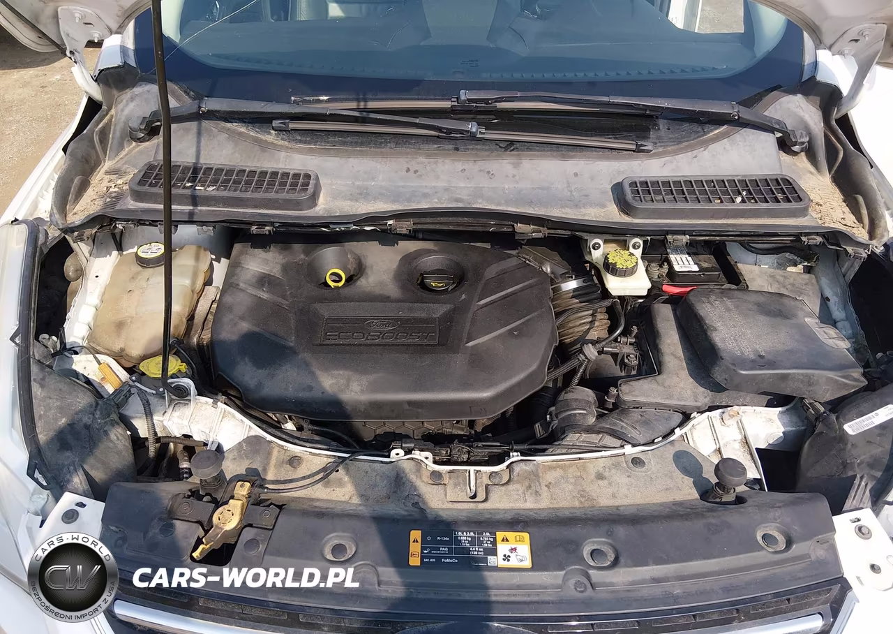 2013 Ford Escape Sel VIN:1FMCU9H97DUA61347 - 10