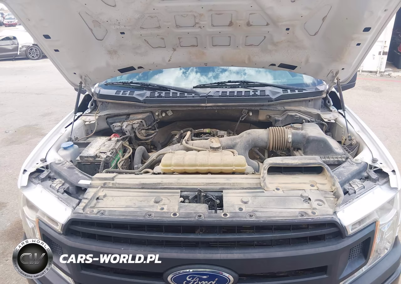 2020 Ford F-150 Xl VIN:1FTEW1EP1LKE81854 - 10
