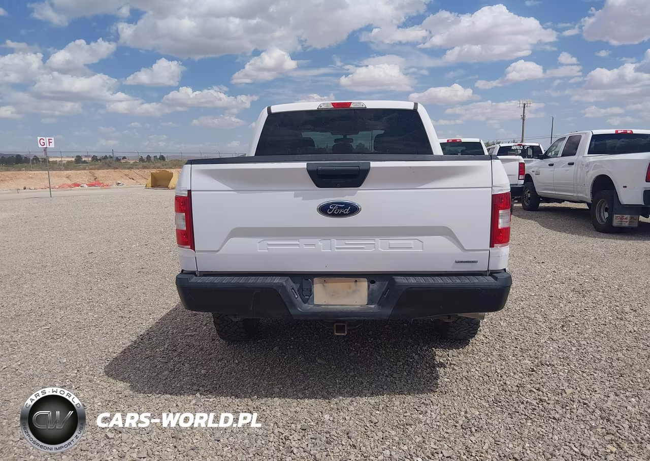 2020 Ford F-150 Xl VIN:1FTEW1EP1LKE81854 - 18