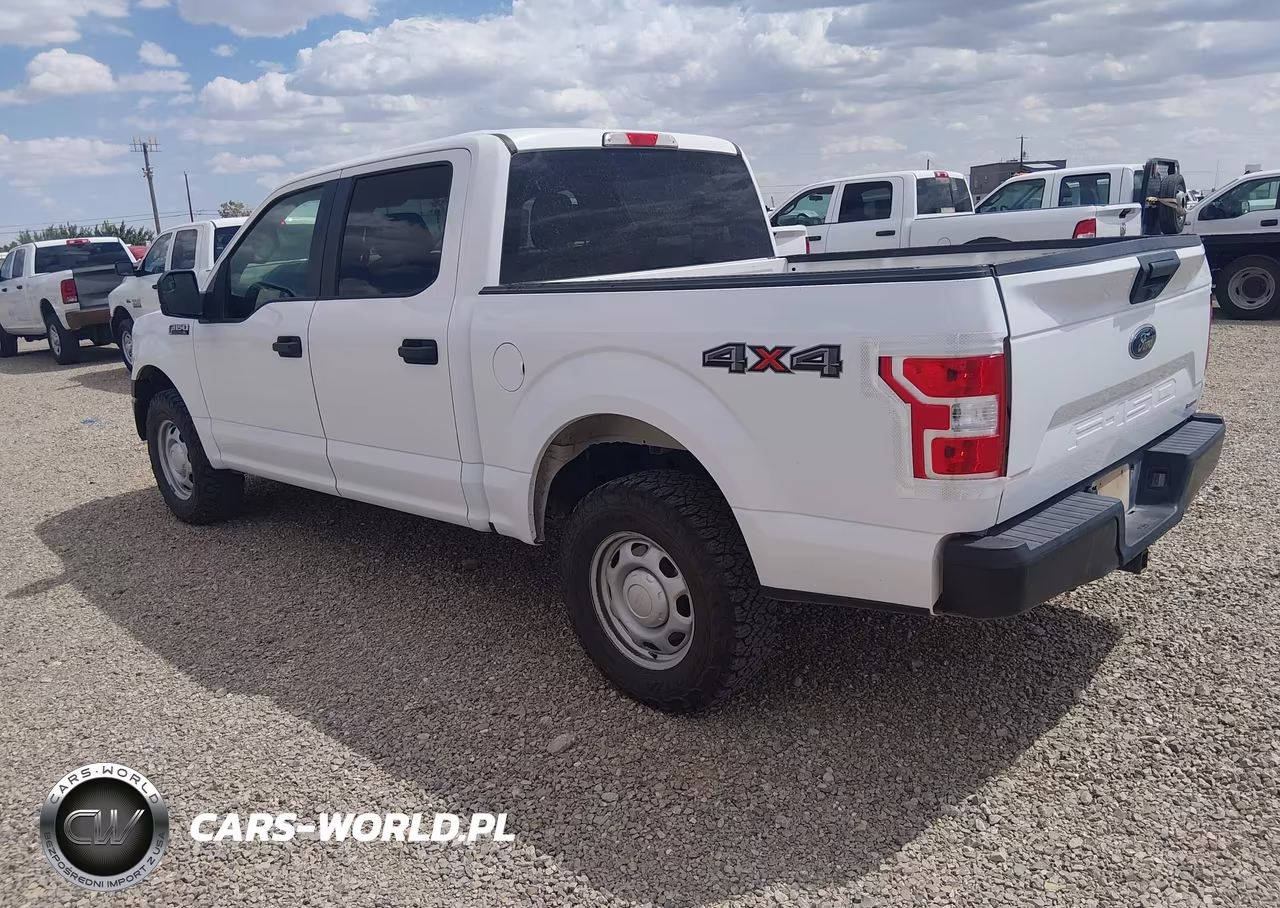 2020 Ford F-150 Xl VIN:1FTEW1EP1LKE81854 - 3