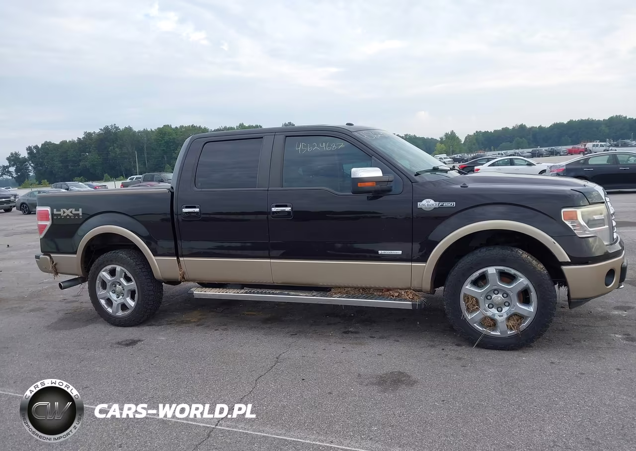 2013 Ford F-150 King Ranch VIN:1FTFW1ET1DKG25745 - 13
