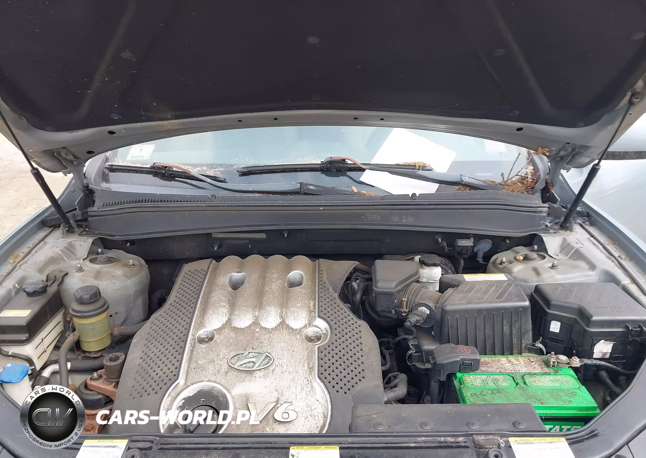 2007 Hyundai Santa Fe Gls VIN:5NMSG13D37H064682 - 10