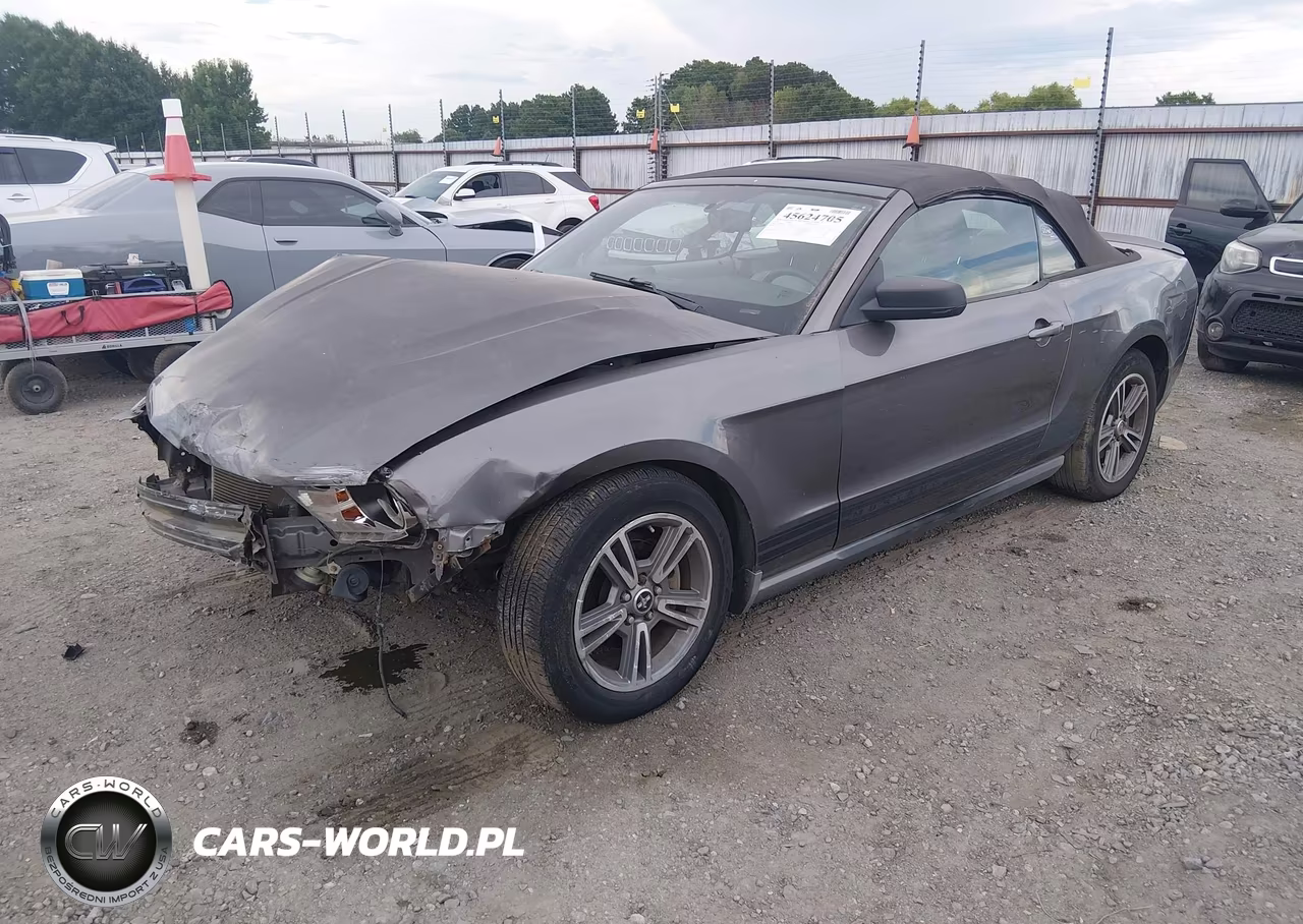 2010 Ford Mustang V6-V6 Premium VIN:1ZVBP8EN4A5109893 - 2