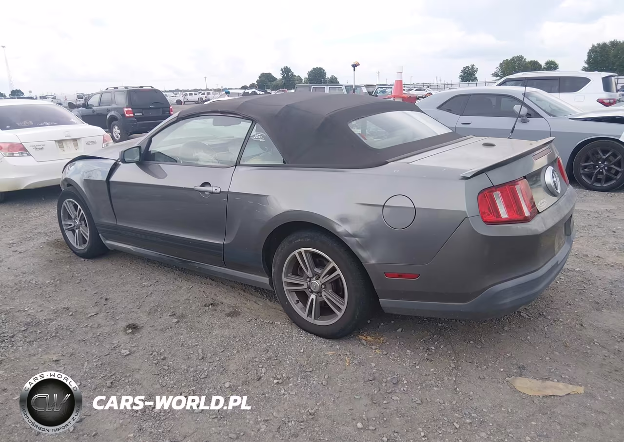 2010 Ford Mustang V6-V6 Premium VIN:1ZVBP8EN4A5109893 - 3