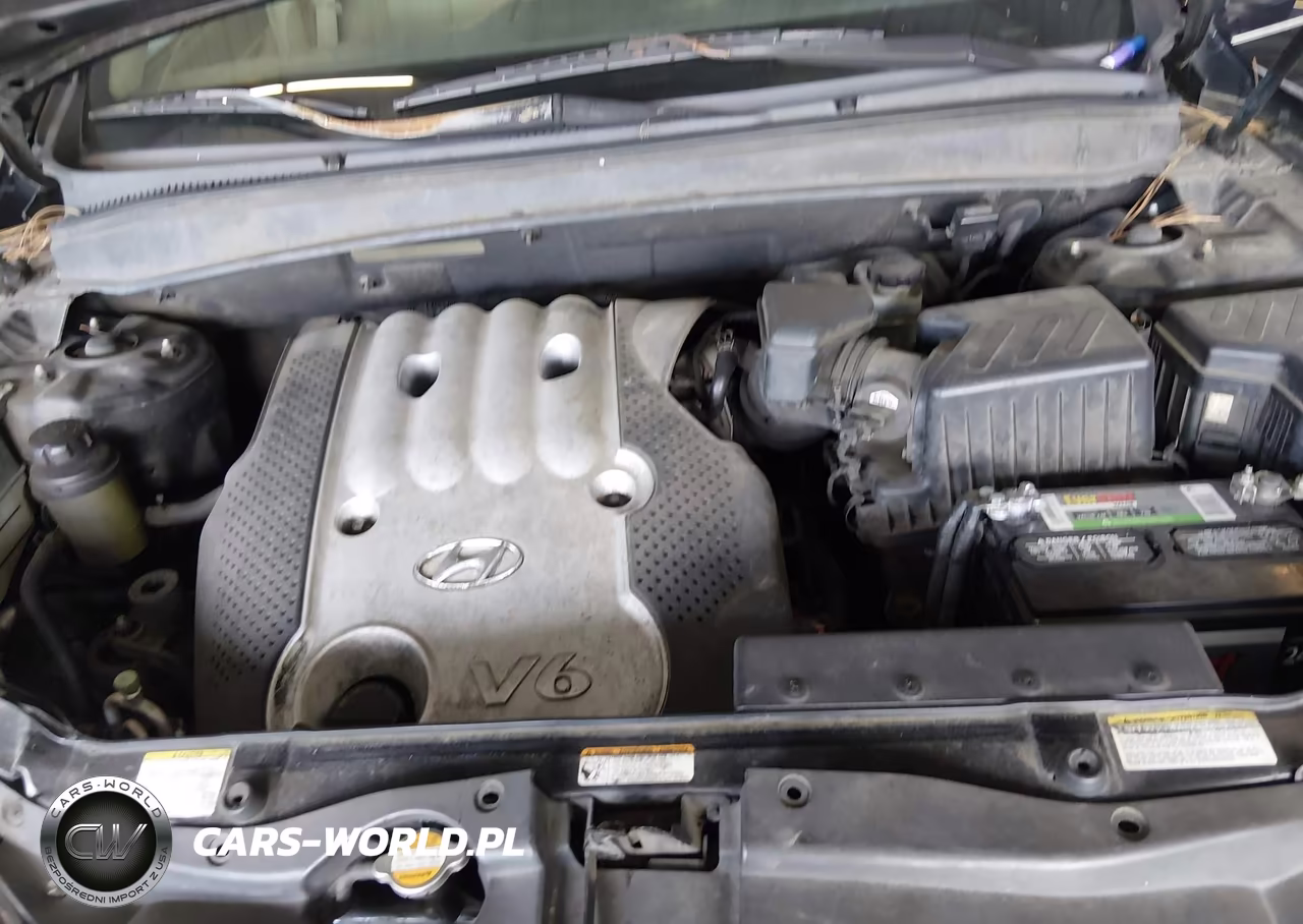 2007 Hyundai Santa Fe Gls VIN:5NMSG13D77H054432 - 10
