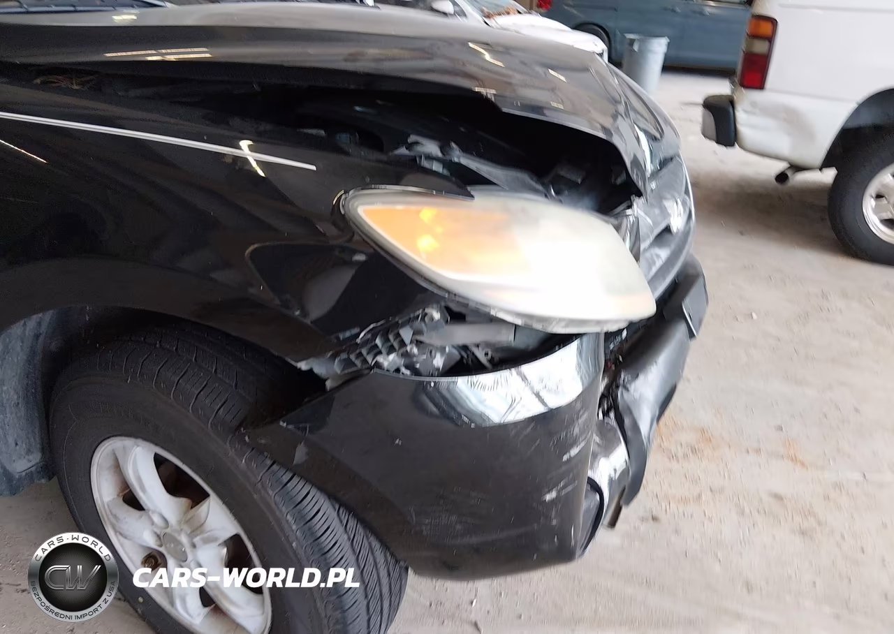 2007 Hyundai Santa Fe Gls VIN:5NMSG13D77H054432 - 12