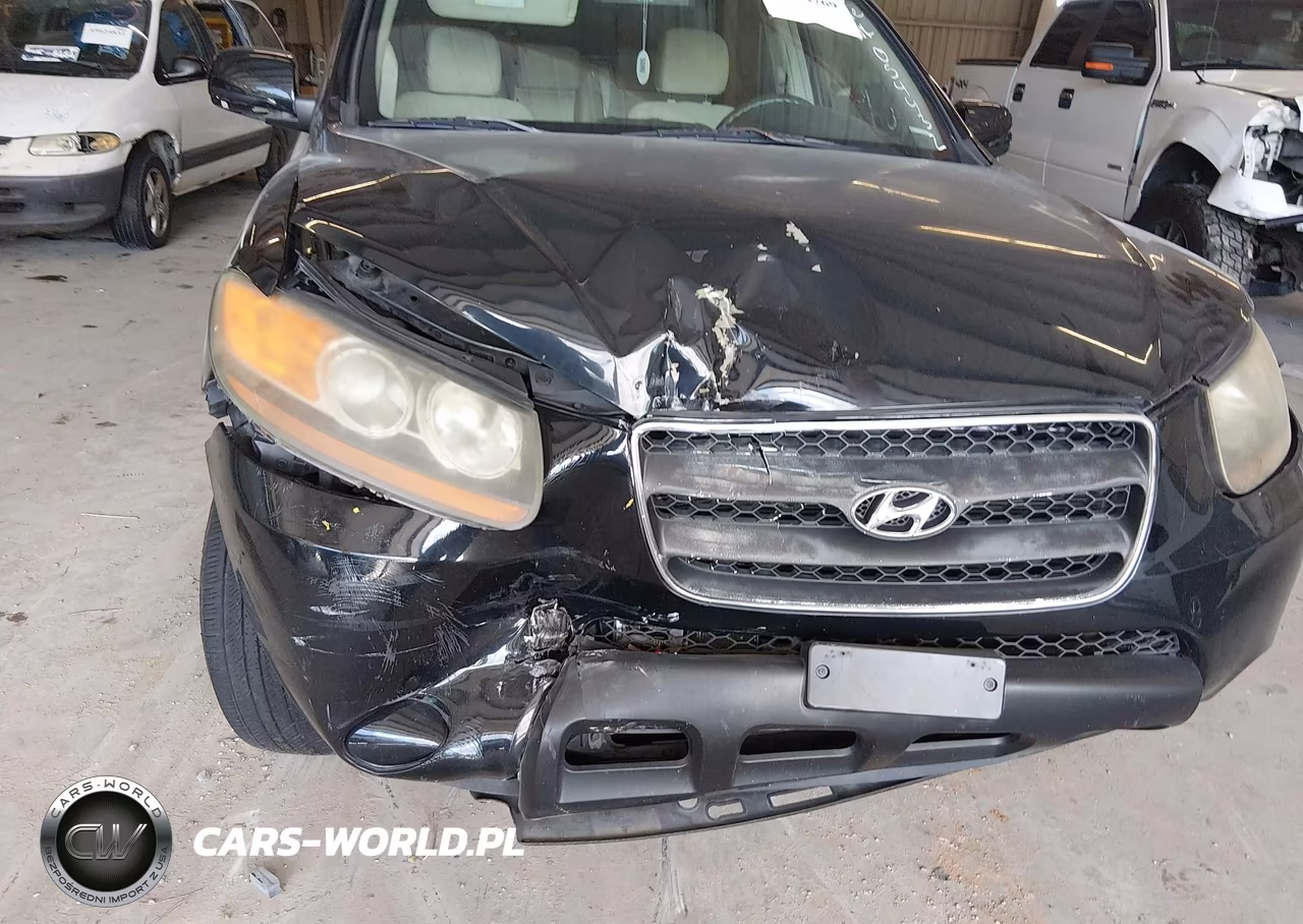 2007 Hyundai Santa Fe Gls VIN:5NMSG13D77H054432 - 13
