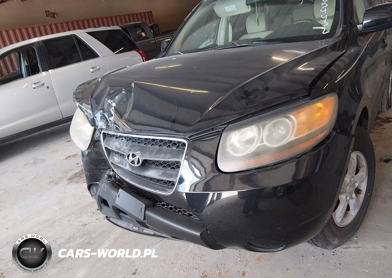 2007 Hyundai Santa Fe Gls VIN:5NMSG13D77H054432 - 14