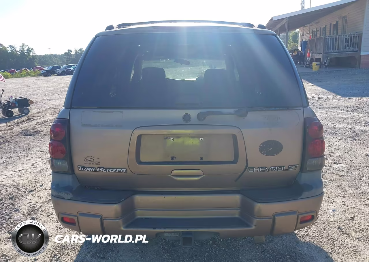 2003 Chevrolet Trailblazer Ls VIN:1GNDS13S232113642 - 17