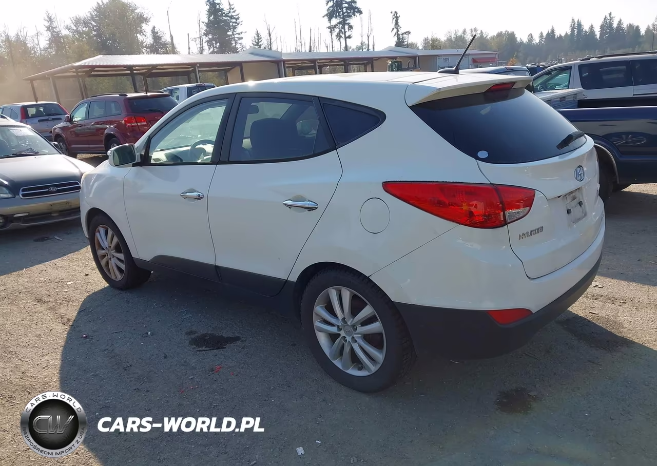 2010 Hyundai Tucson Limited VIN:KM8JUCAC1AU022436 - 3