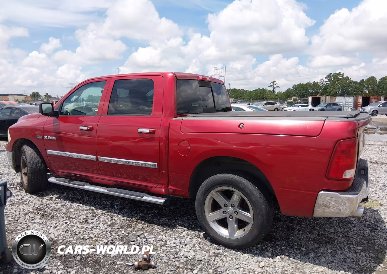 2010 Dodge Ram 1500 Slt-Sport-Trx VIN:1D7RV1CT6AS258118 - 15