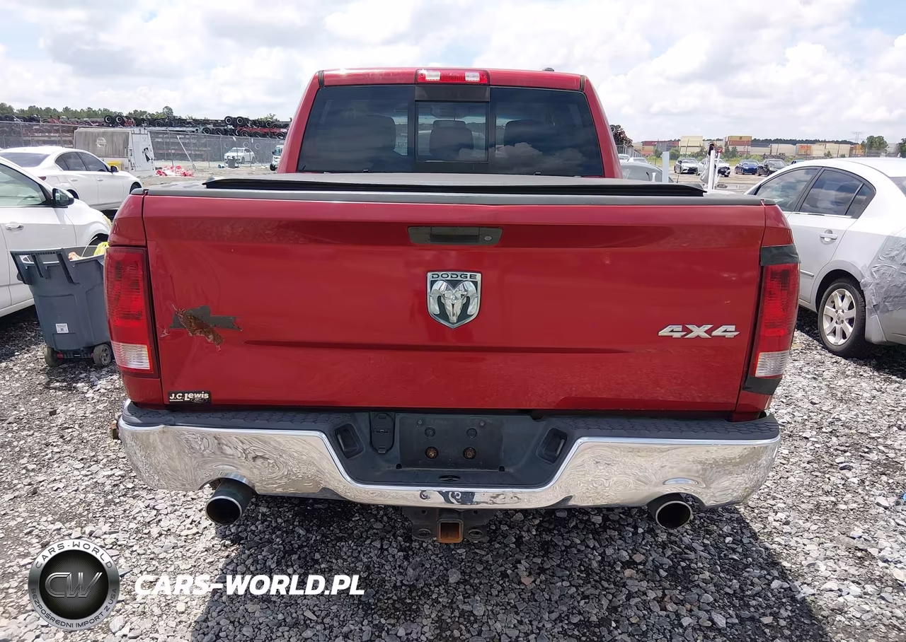 2010 Dodge Ram 1500 Slt-Sport-Trx VIN:1D7RV1CT6AS258118 - 17
