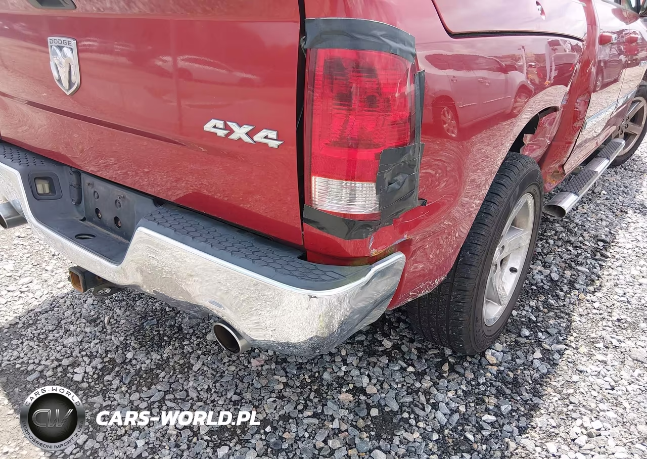 2010 Dodge Ram 1500 Slt-Sport-Trx VIN:1D7RV1CT6AS258118 - 19